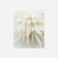 Stern, Dust, Off-White