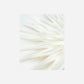 Stern, Dust, Off-White