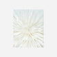 Stern, Dust, Off-White