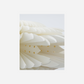 Star, HDLayer, White