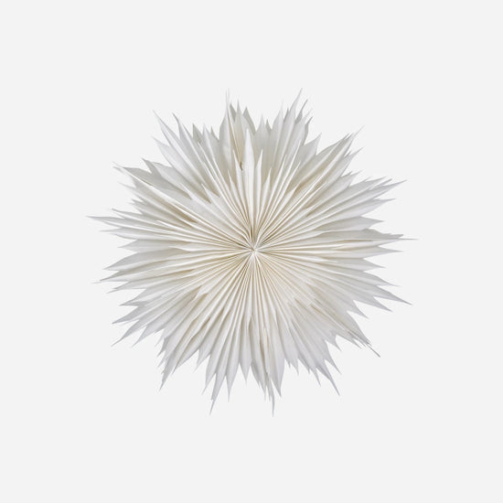 Star, HDDust, Off-white