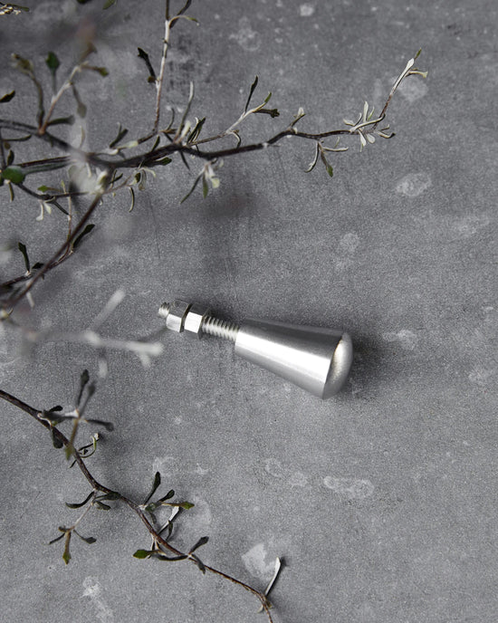 Knob, Silver