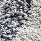 Rug, HDMuzo, Beige