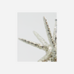 Ornamente, HDSpike, Silber m. Glitzer