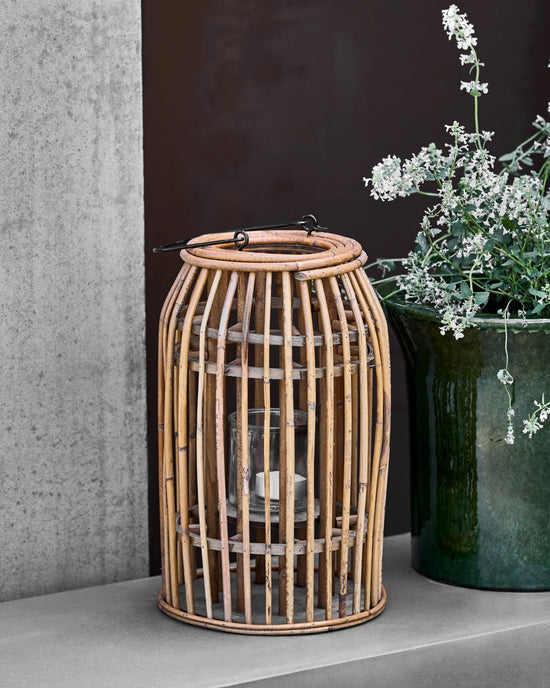 Lantern, HDOva, Nature