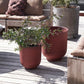 Blumenkasten, Vig, Verbranntes Henna