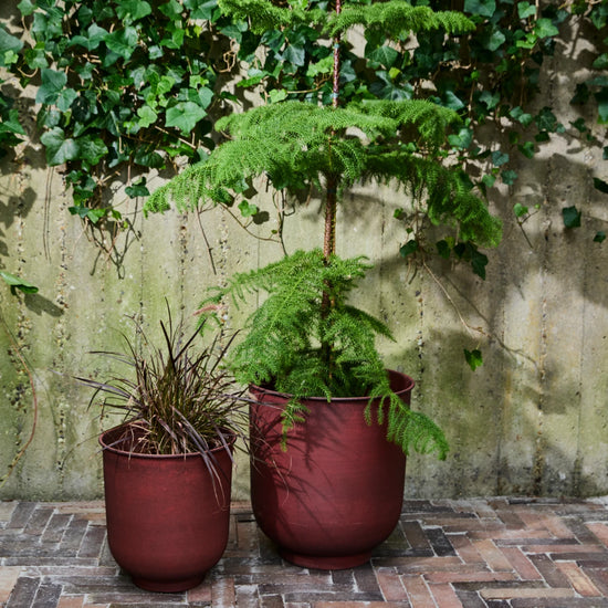 Planter, HDVig, Burnt henna