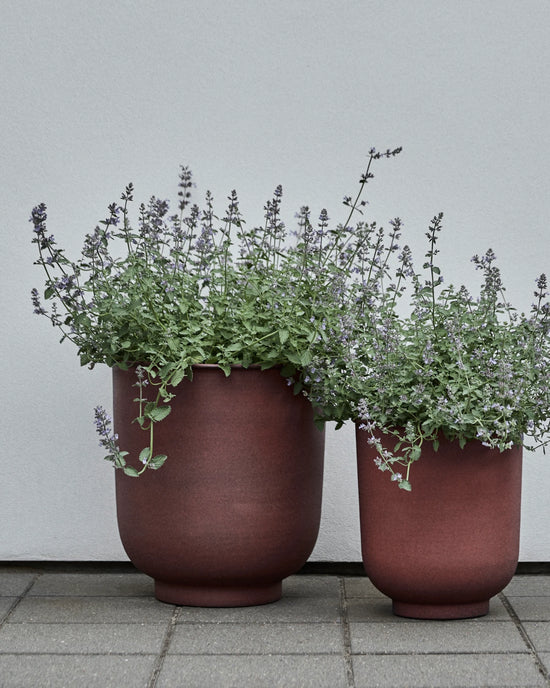 Planter, HDVig, Burnt henna