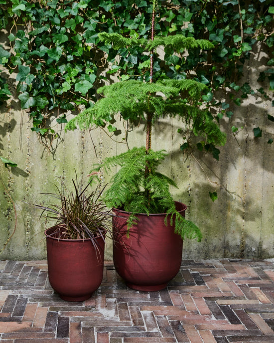 Blumenkasten, Vig, Verbranntes Henna