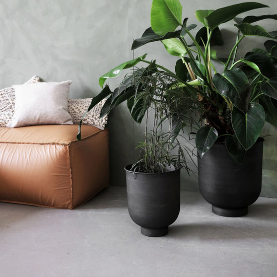 Blumenkasten, Vig, Grau