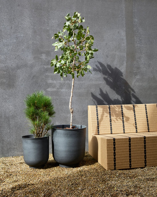 Blumenkasten, Vig, Grau