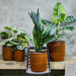 Planter, HDGroove, Brown