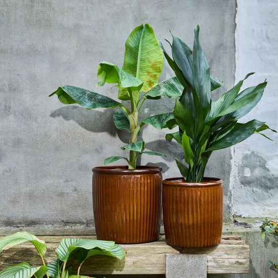 Blumentopf, HDGroove, Braun