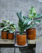 Blumentopf, HDGroove, Braun