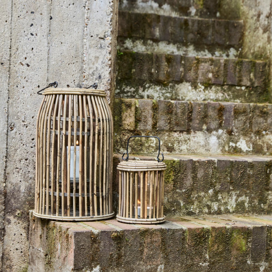 Lanterne, HDOva, Natural