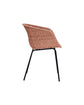 Chair, HDHapur, Nature
