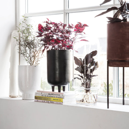 Blumenkasten, Jang, Schwarz oxidiert