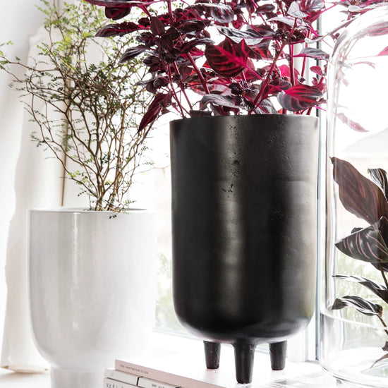 Blumenkasten, Jang, Schwarz oxidiert