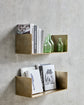 Shelf, HDBoxie, Golden