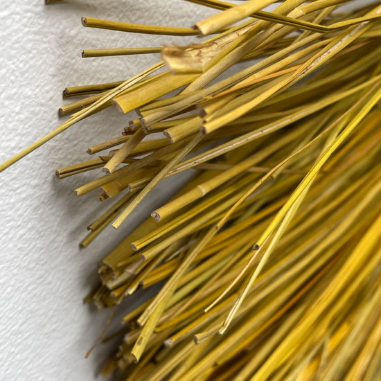 Wandkunst, Junia, Natur/Gelb