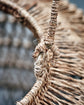 Laterne, HDDive, Natur