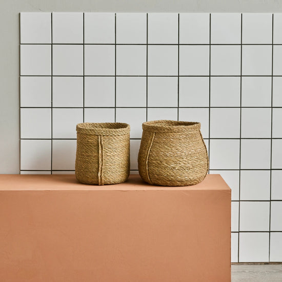 Basket, HDPlant, Nature