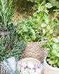 Basket, HDHang, Nature