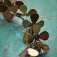 Kranz, HDClover, Messing-finish
