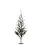 Weihnachtsbaum, Natur