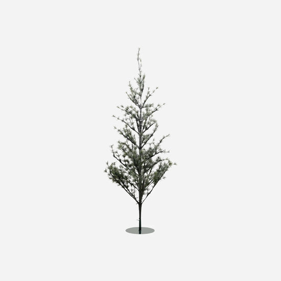 Weihnachtsbaum, Natur