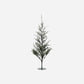 Weihnachtsbaum, Natur