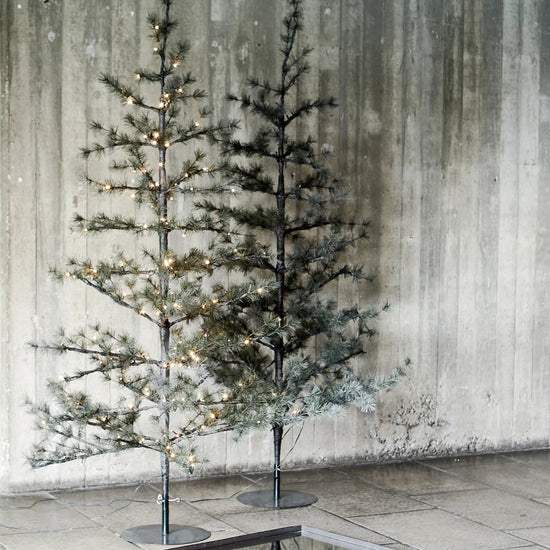 Weihnachtsbaum, Natur