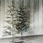 Weihnachtsbaum, Natur