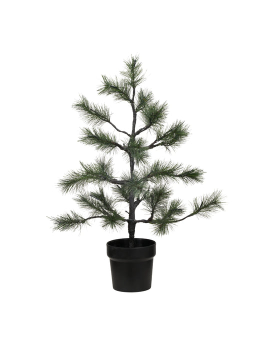Weihnachtsbaum, HDPeuce, Natur