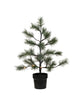 Christmas tree, HDPeuce, Nature