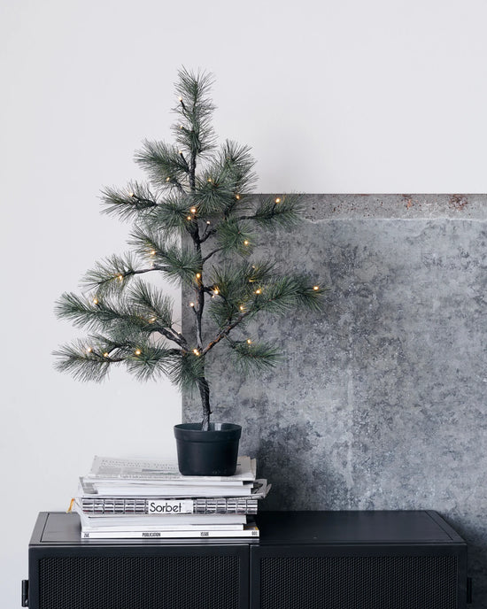 Weihnachtsbaum, HDPeuce, Natur