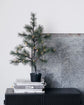 Christmas tree, HDPeuce, Nature