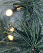 Christmas tree, HDPeuce, Nature