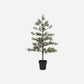 Christmas tree, HDPeuce, Nature