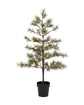 Christmas tree, HDPeuce, Nature