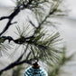 Weihnachtsbaum, Peuce, Natur