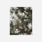 Weihnachtsbaum, Pin, Natur