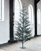 Christmas tree, HDPin, Nature