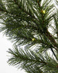 Garland, HDPeuce, Nature