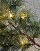 Garland, HDPeuce, Nature