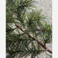 Girlande m. LED, HDPeuce, Natur