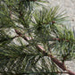 Garland, HDPeuce, Nature