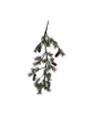 Christmas branch, HDPeuce, Nature