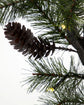 Christmas branch, HDPeuce, Nature