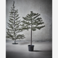 Weihnachtsbaum mit LED-Lichtern, HDPeuce, Natur